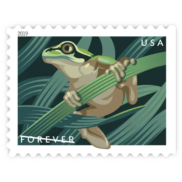 Frogs Forever Stamp 2019 - Image 5
