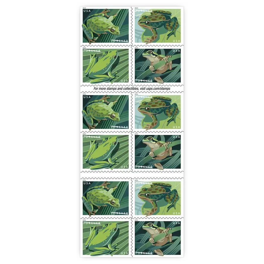 Frogs Forever Stamp 2019 - Image 2