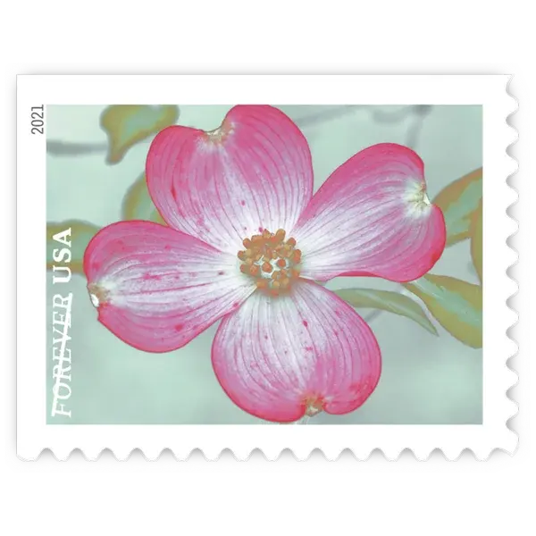 Garden Beauty Forever Stamp 2021