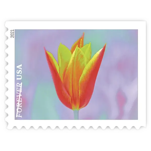 Garden Beauty Forever Stamp 2021 - Image 3