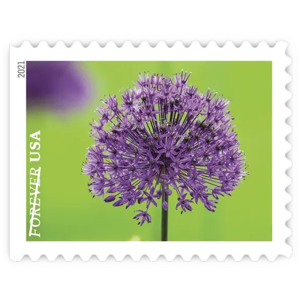 Garden Beauty Forever Stamp 2021 - Image 4