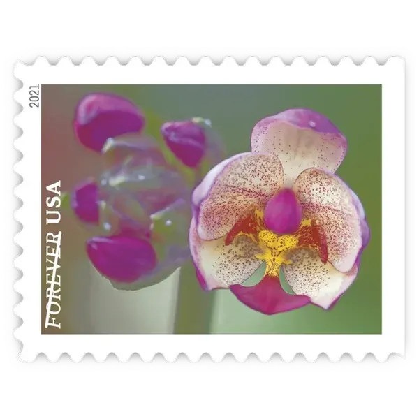 Garden Beauty Forever Stamp 2021 - Image 5