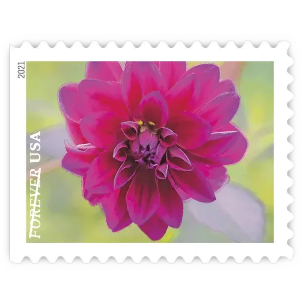 Garden Beauty Forever Stamp 2021 - Image 6