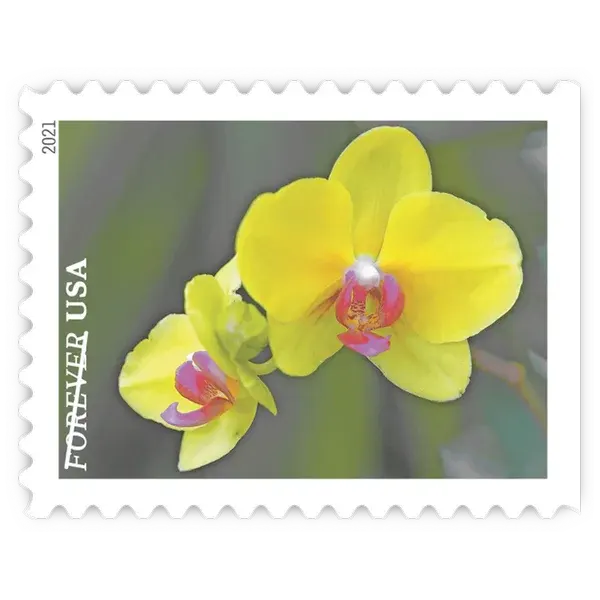 Garden Beauty Forever Stamp 2021 - Image 7