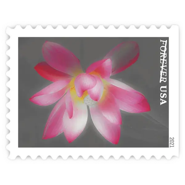 Garden Beauty Forever Stamp 2021 - Image 8