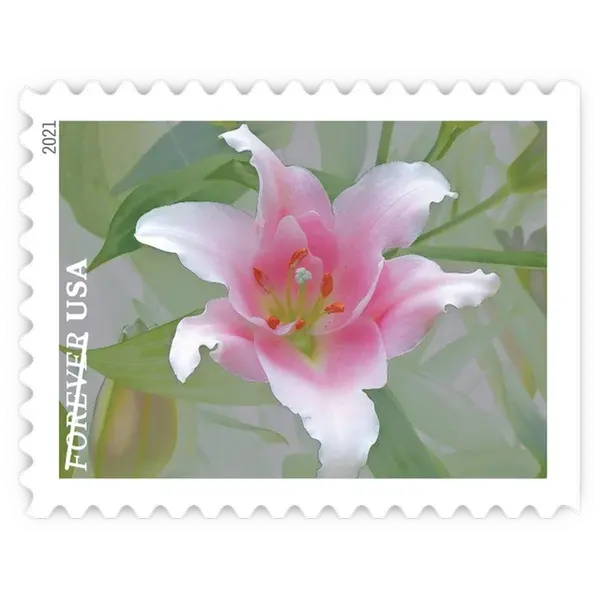 Garden Beauty Forever Stamp 2021 - Image 9