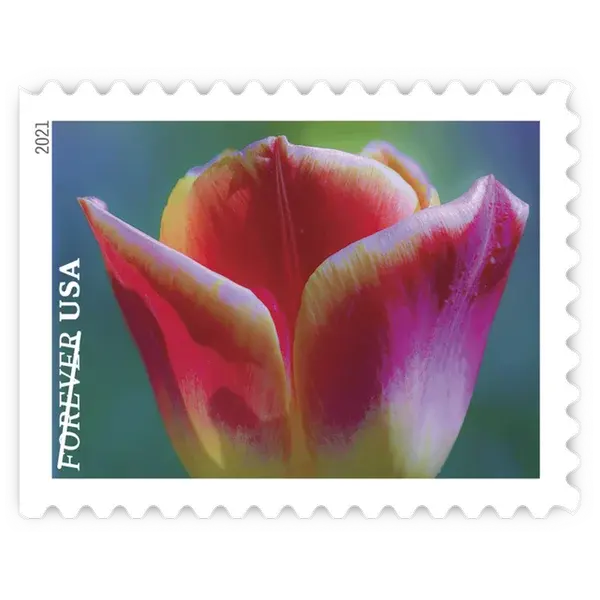 Garden Beauty Forever Stamp 2021 - Image 10