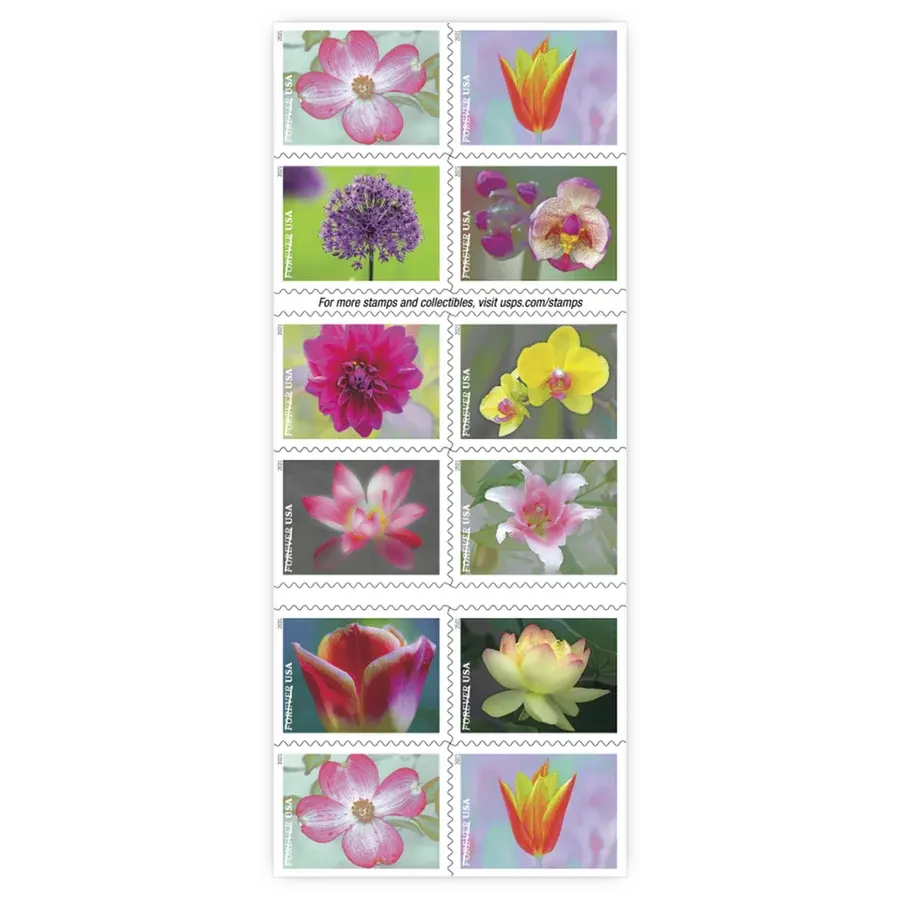 Garden Beauty Forever Stamp 2021 - Image 2