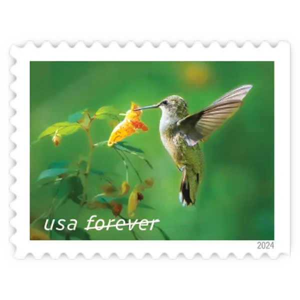 Garden Delights Forever Stamp 2024 - Image 3