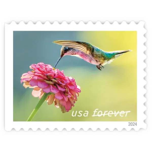 Garden Delights Forever Stamp 2024 - Image 4