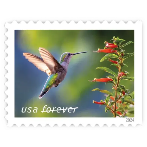 Garden Delights Forever Stamp 2024 - Image 5