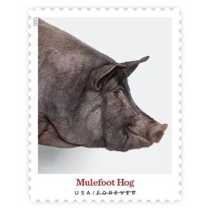 Heritage Breeds Forever Stamp 2021