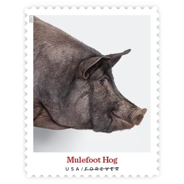 Heritage Breeds Forever Stamp 2021