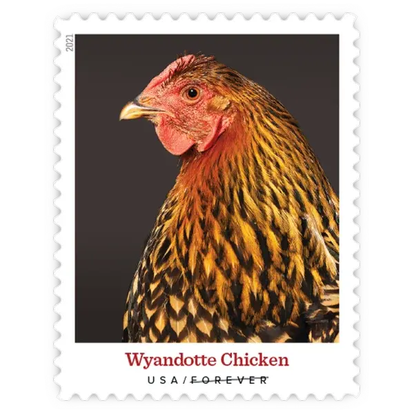 Heritage Breeds Forever Stamp 2021 - Image 3