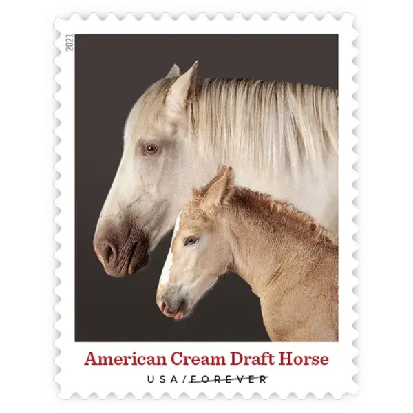 Heritage Breeds Forever Stamp 2021 - Image 6