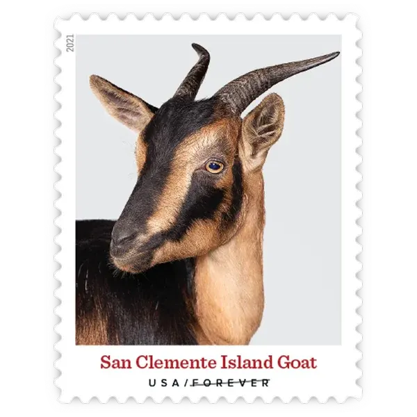 Heritage Breeds Forever Stamp 2021 - Image 7
