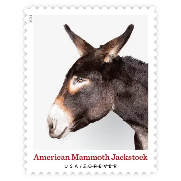 Heritage Breeds Forever Stamp 2021 - Image 9