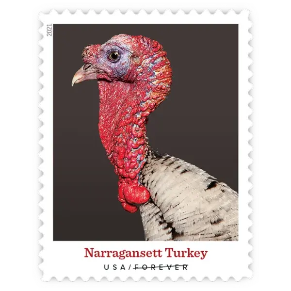 Heritage Breeds Forever Stamp 2021 - Image 10
