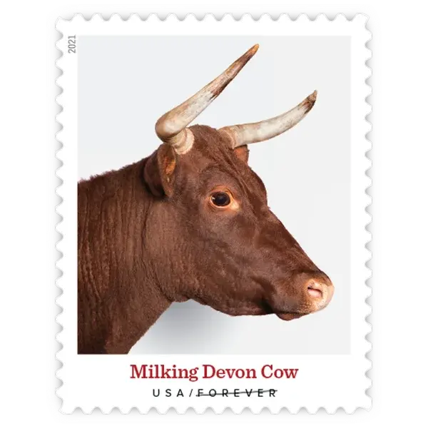 Heritage Breeds Forever Stamp 2021 - Image 11