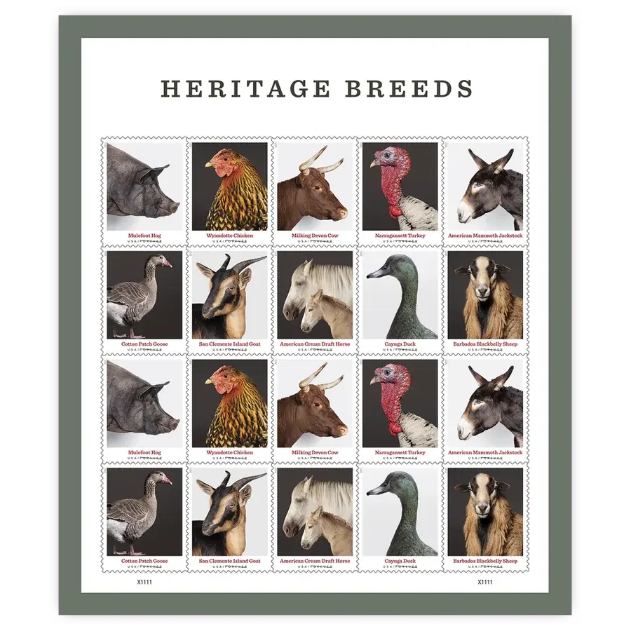 Heritage Breeds Forever Stamp 2021 - Image 2