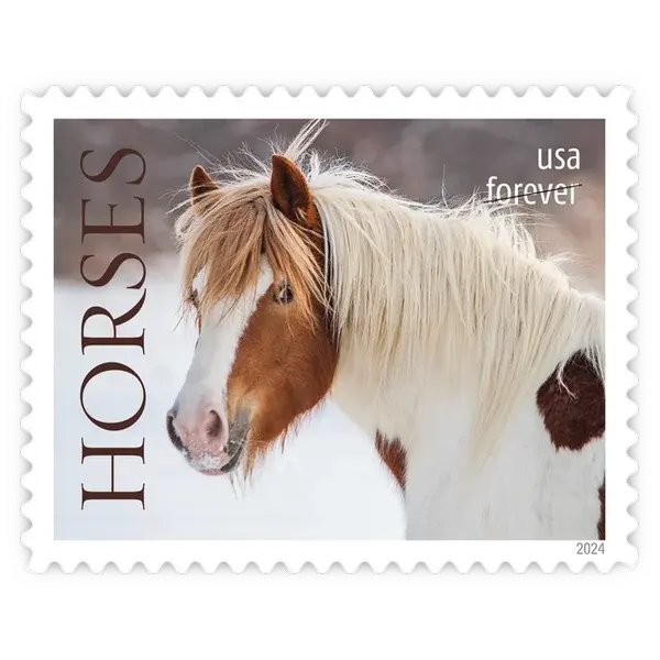 Horses Forever Stamp 2024