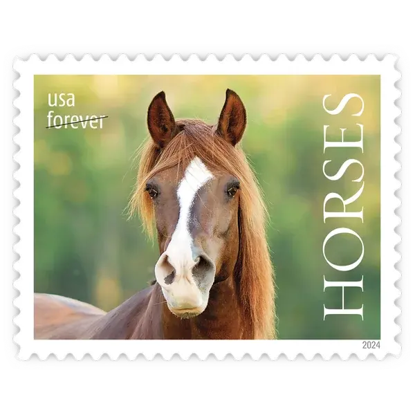 Horses Forever Stamp 2024 - Image 3