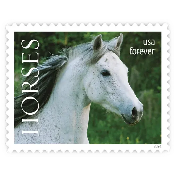 Horses Forever Stamp 2024 - Image 4