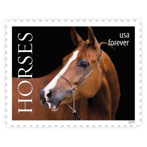 Horses Forever Stamp 2024 - Image 5