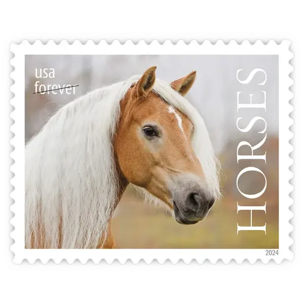 Horses Forever Stamp 2024 - Image 6