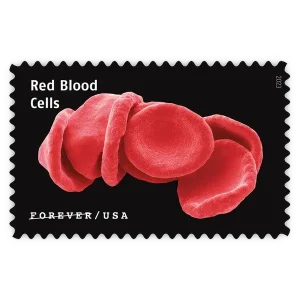 Life Magnified Forever Stamp 2023