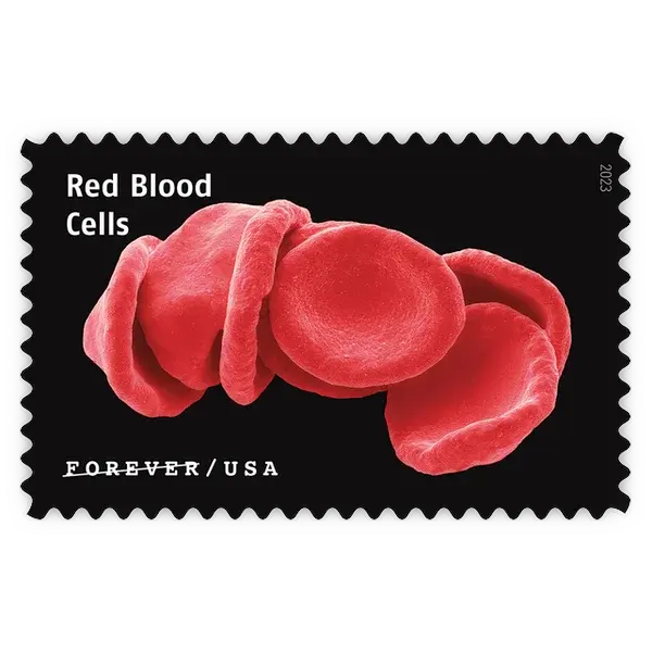 Life Magnified Forever Stamp 2023