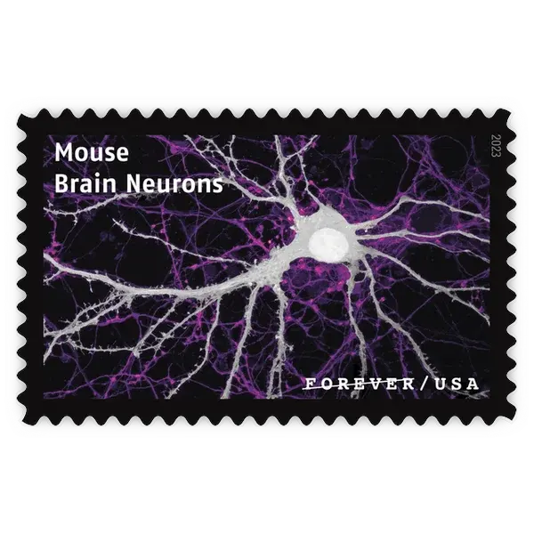 Life Magnified Forever Stamp 2023 - Image 3