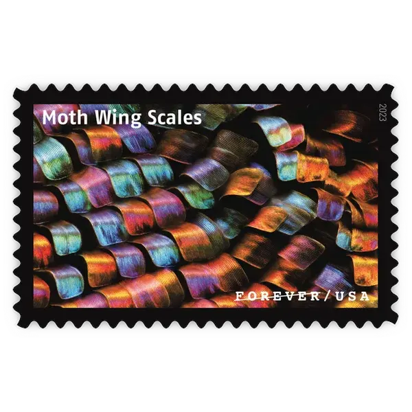 Life Magnified Forever Stamp 2023 - Image 5