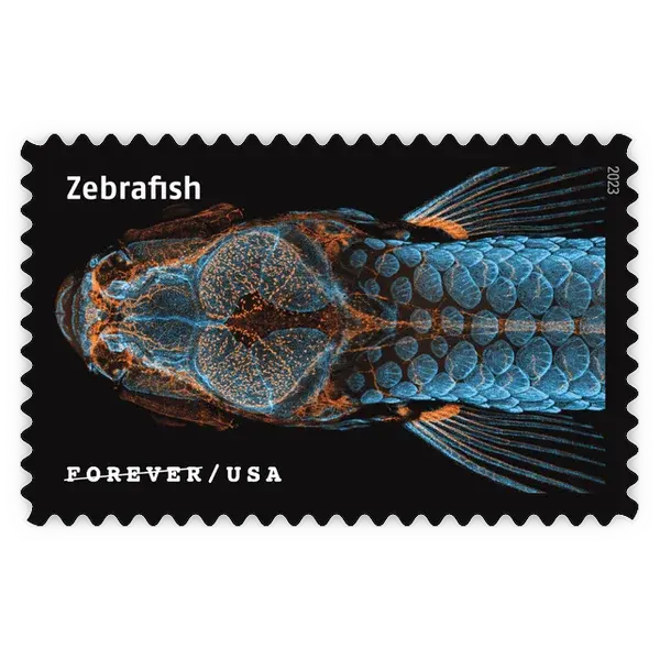 Life Magnified Forever Stamp 2023 - Image 6
