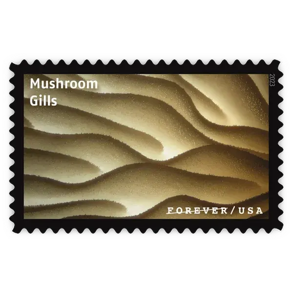 Life Magnified Forever Stamp 2023 - Image 7