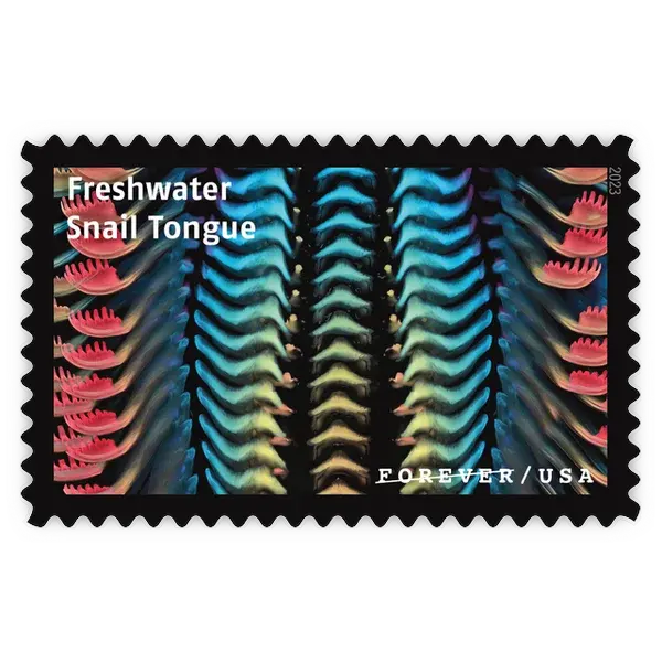 Life Magnified Forever Stamp 2023 - Image 8