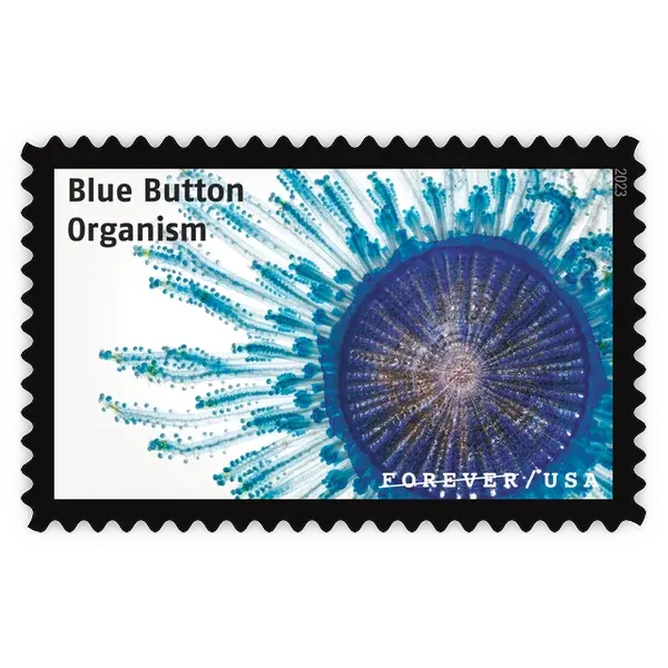 Life Magnified Forever Stamp 2023 - Image 9