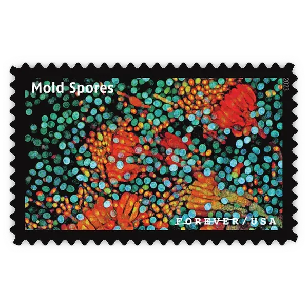 Life Magnified Forever Stamp 2023 - Image 10