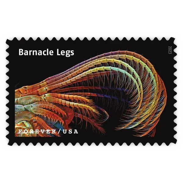 Life Magnified Forever Stamp 2023 - Image 11