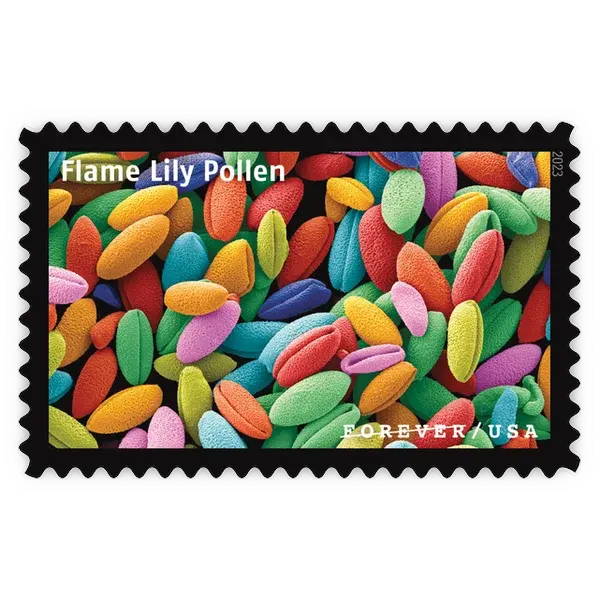 Life Magnified Forever Stamp 2023 - Image 12
