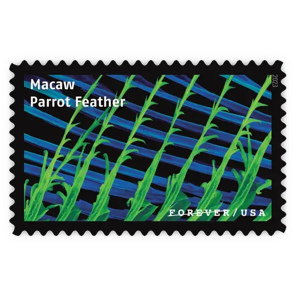 Life Magnified Forever Stamp 2023 - Image 13