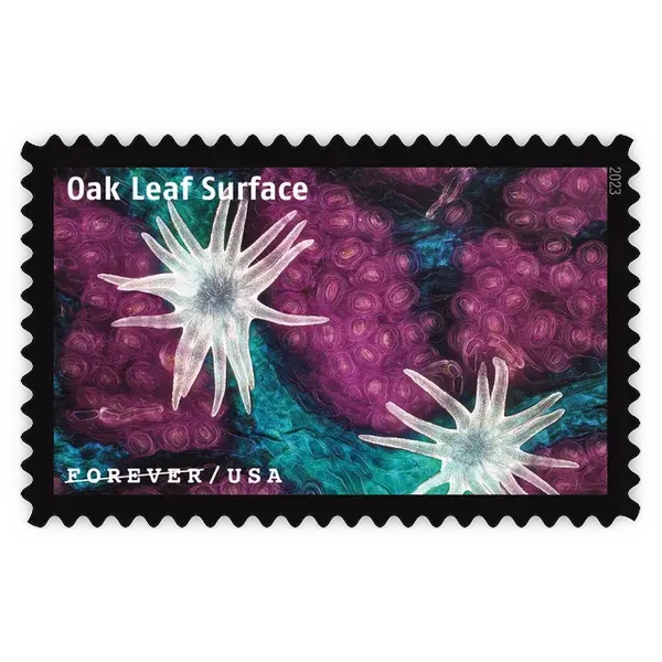 Life Magnified Forever Stamp 2023 - Image 14