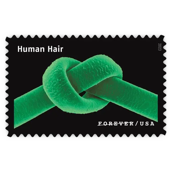 Life Magnified Forever Stamp 2023 - Image 15