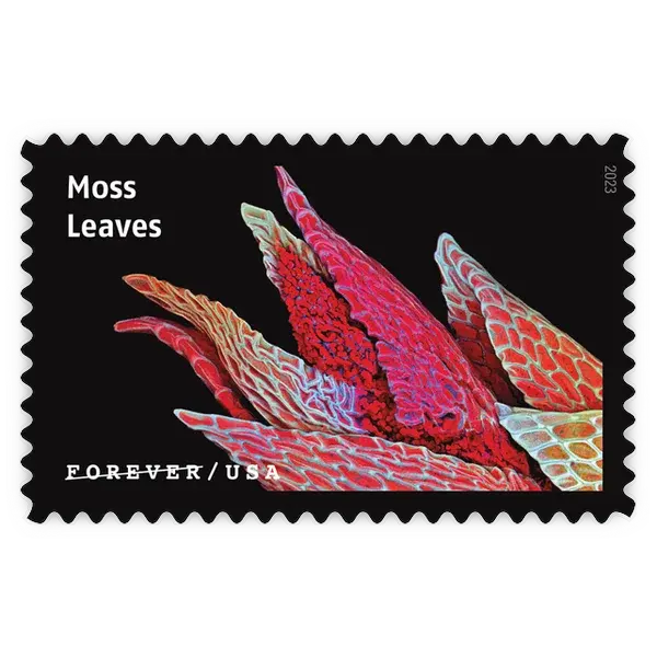 Life Magnified Forever Stamp 2023 - Image 16