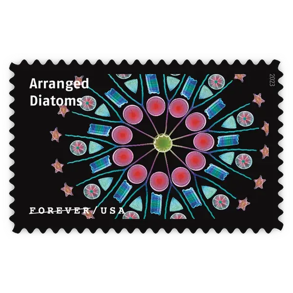 Life Magnified Forever Stamp 2023 - Image 17