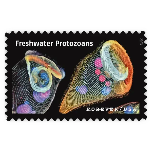 Life Magnified Forever Stamp 2023 - Image 18