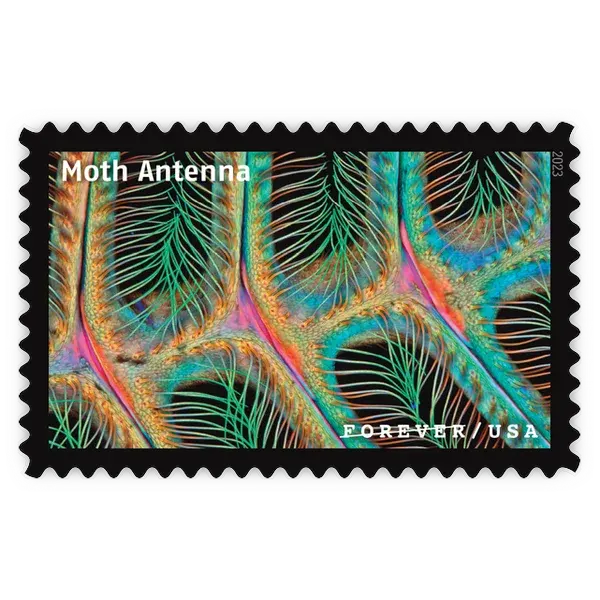 Life Magnified Forever Stamp 2023 - Image 20