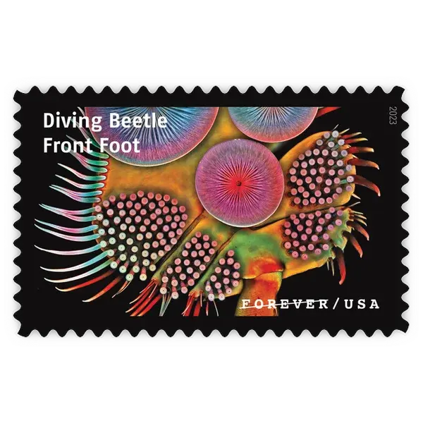 Life Magnified Forever Stamp 2023 - Image 21