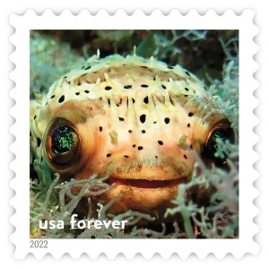 National Marine Sanctuaries Forever Stamp 2022