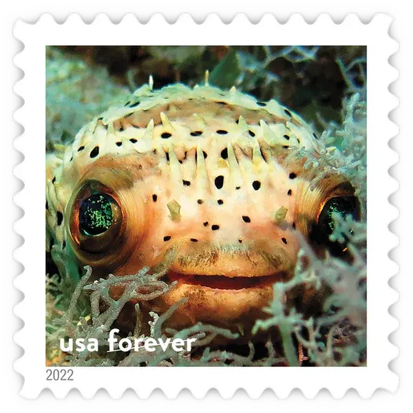 National Marine Sanctuaries Forever Stamp 2022